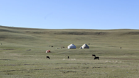 Weide in Kirgistan mit zwei Jurten