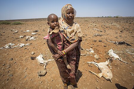Afrika, Dürre, Trockenheit, Wüste, Bevölkerung, Hunger, Wassermangel, Vieh, Aas, Kadaver, tot, Tod, Klimawandel