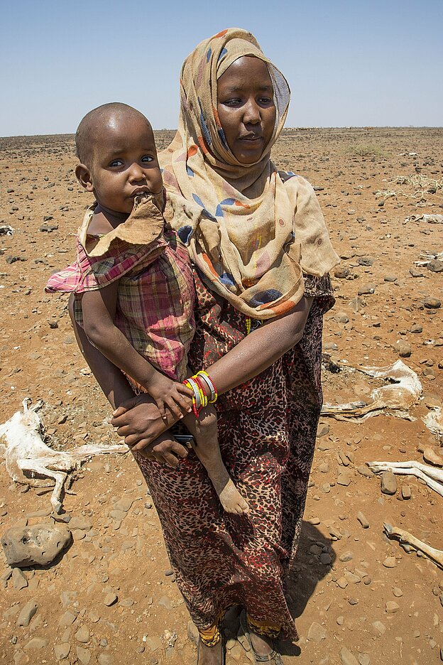 Afrika, Dürre, Trockenheit, Wüste, Bevölkerung, Hunger, Wassermangel, Vieh, Aas, Kadaver, tot, Tod, Klimawandel