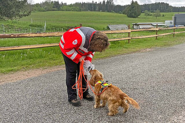 Hund schnüffelt Geruchsprobe