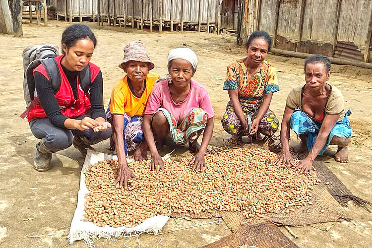 Women showing peanut harvest