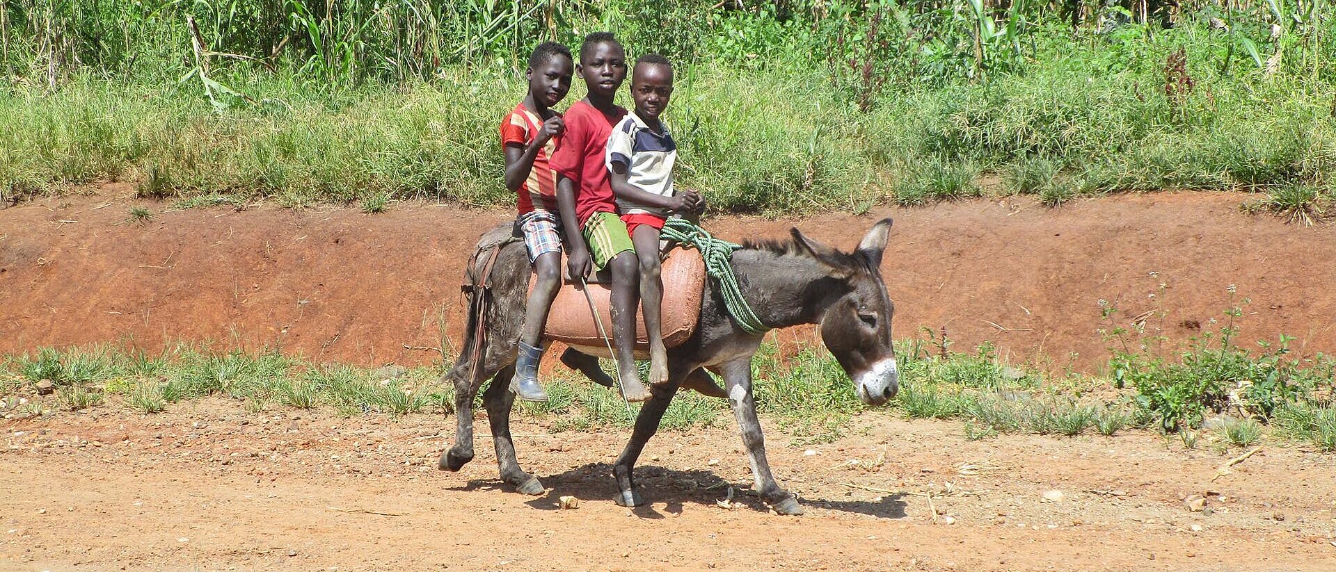 Drei äthiopische Kinder auf Esel