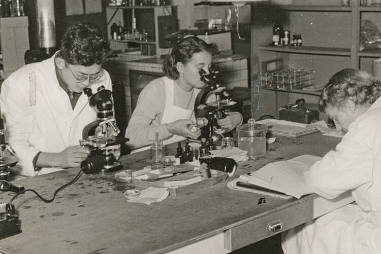 Foto: Eine Frau und ein Mann am Tisch schauen in Mikroskope