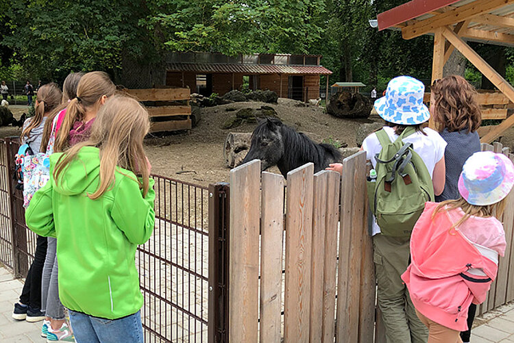 Kinder am Zaun des Ponygeheges