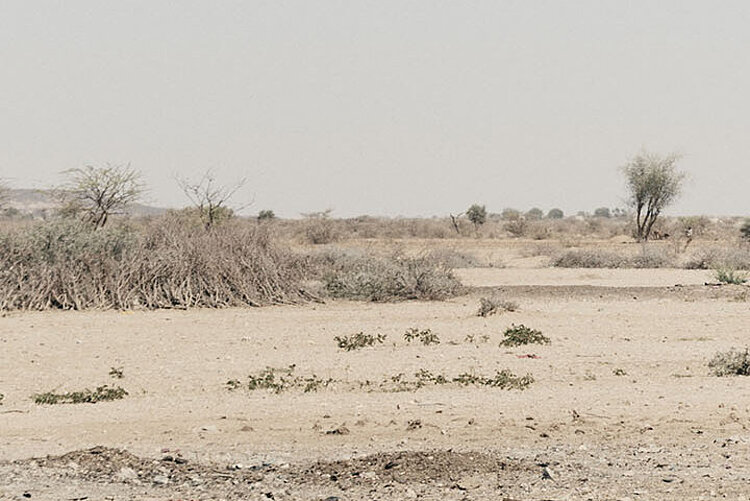 Junge und Esel in karger Landschaft