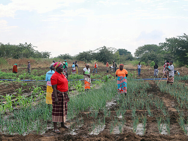 Frauen auf einem Feld in Mosambik 