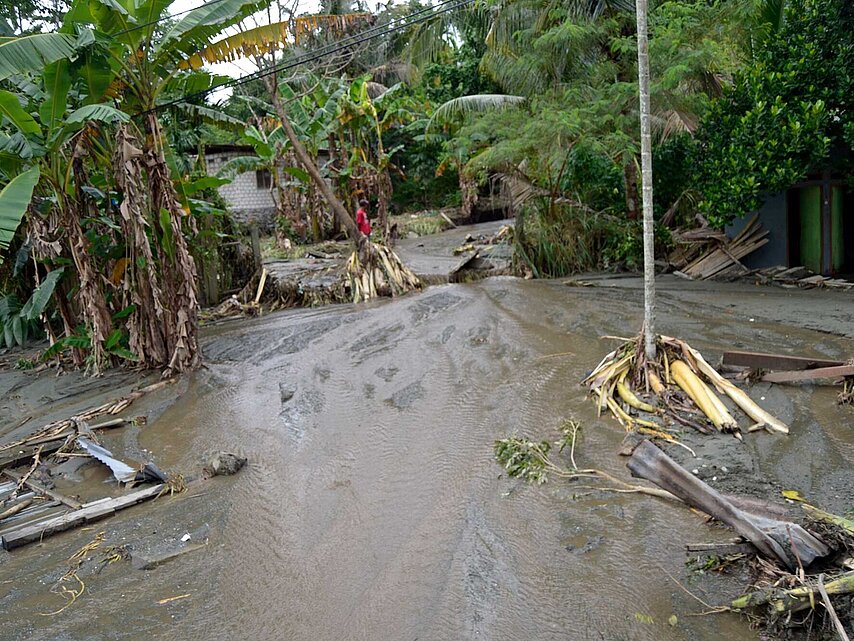 Durch Überschwemmung ausgewaschener Boden und Palmen