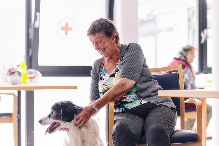 Seniorin krauelt Hund