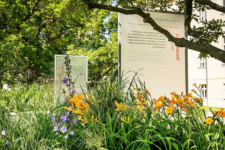 Blumen in Grünanlage und Informationsstelen