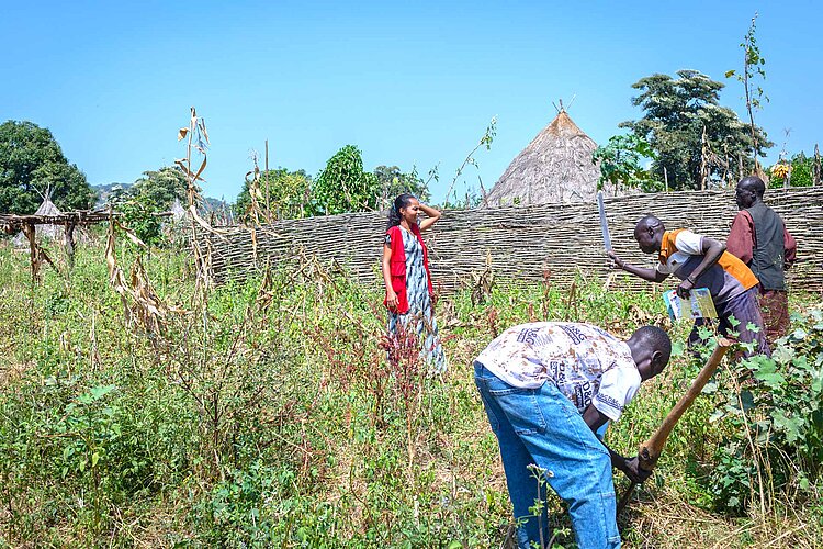 Männer bei der Feldarbeit