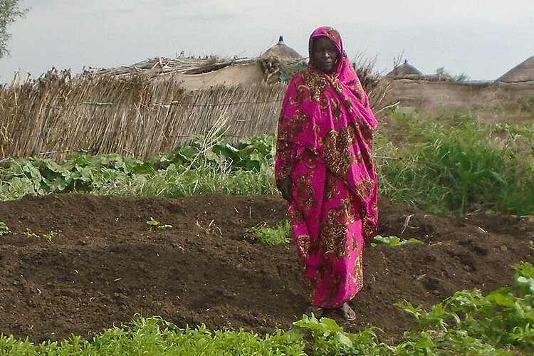 Sudanesin an ihrem Garten mit jungen Pflanzen