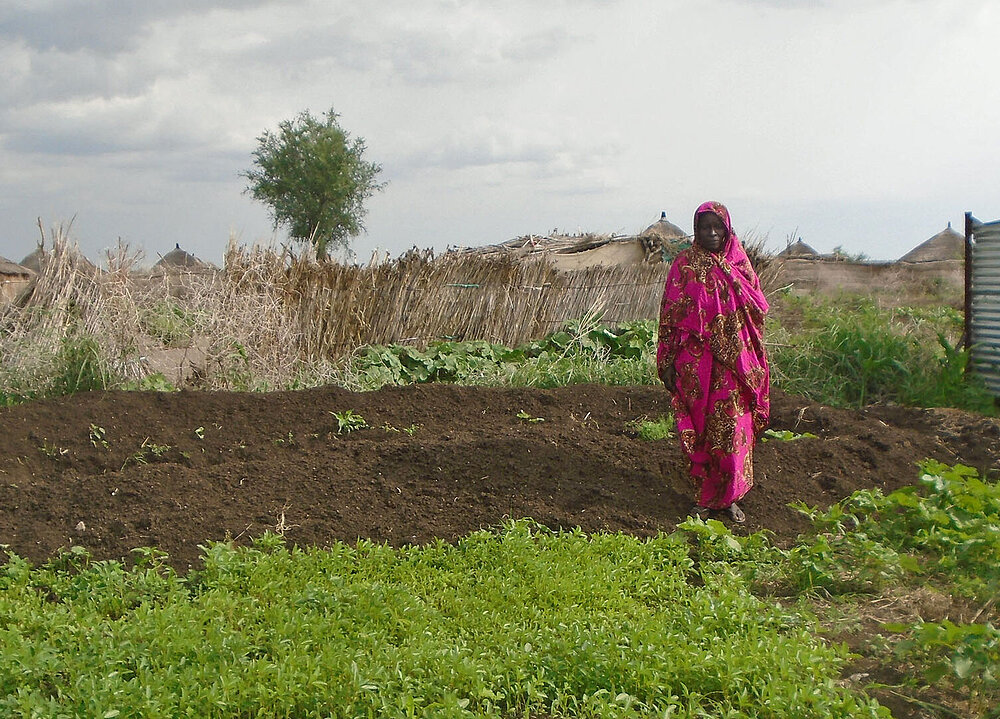 Sudanesin an ihrem Garten mit jungen Pflanzen