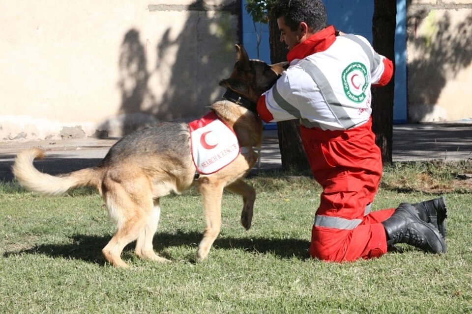 Übung mit Hund