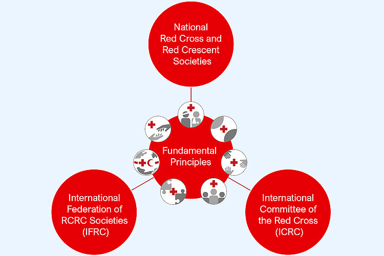 graphic representing the structure of ICRC movement