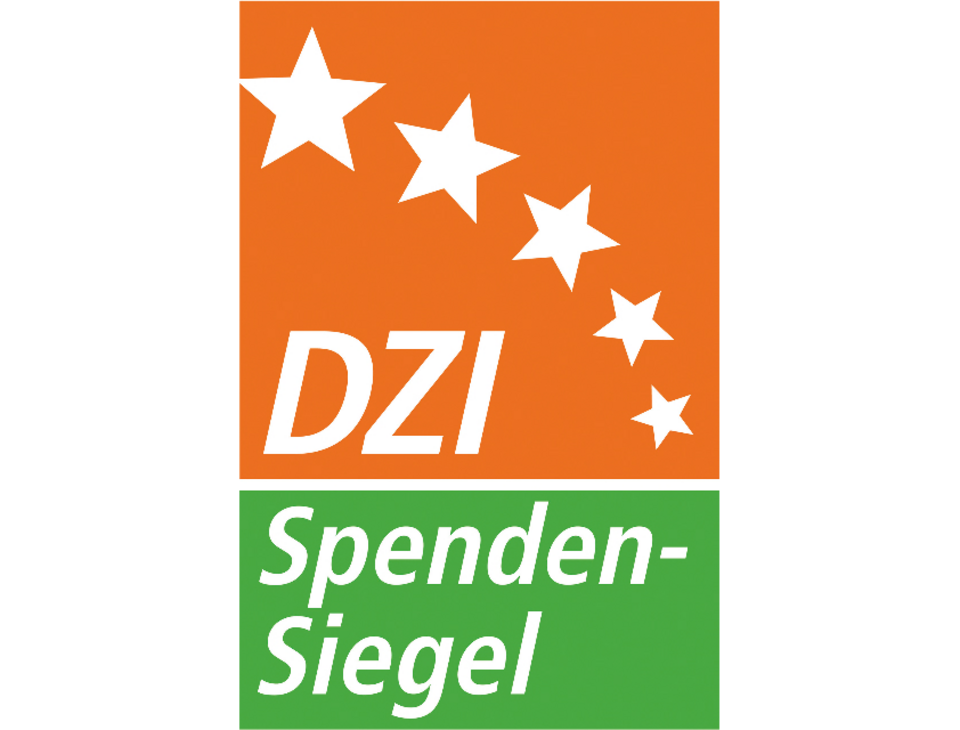 Zu sehen ist das Logo vom DZI (Abkürzung steht für Deutsches Zentralinstitut für soziale Fragen). Das Logo ist ein hochkant dargestelltes Rechteck. Die oberen zwei Drittel sind Orange, darauf abgebildet fünf weiße Sterne und in weißer Schrift DZI. Das darunterliegende Drittel ist hellgrün, hier befindet sich in weißer Farbe die Aufschrift Spendensiegel.