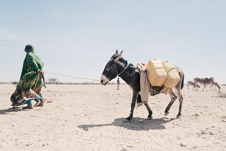 Foto: Somalierin mit Esel an der Leine