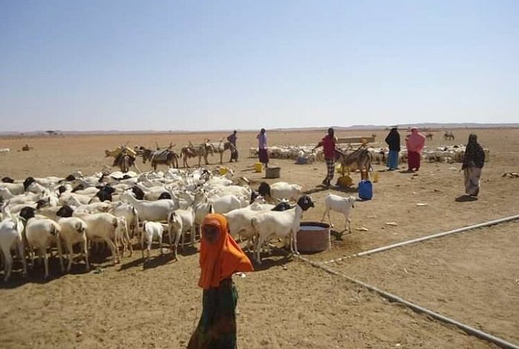 Bargeldhilfe in Somaliland