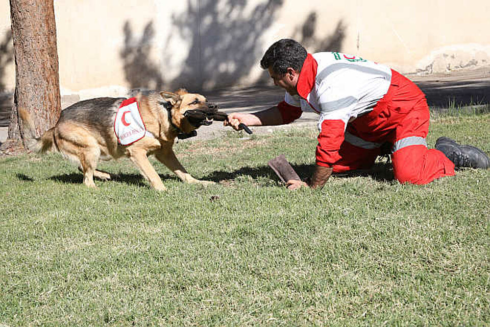 Hundeführer mit Rettungshund