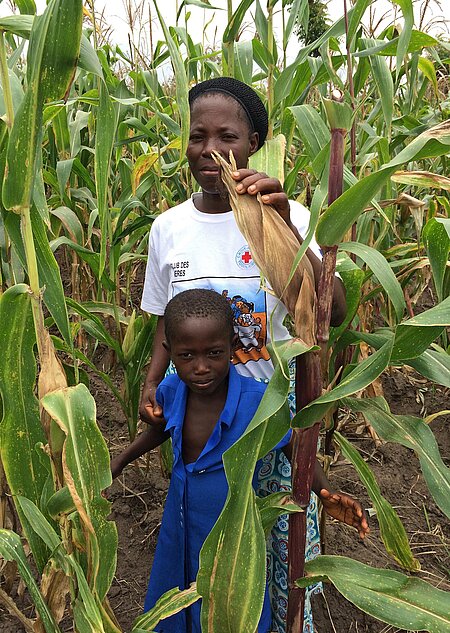 Togolesin im Maisfeld zeigt großen Maiskolben
