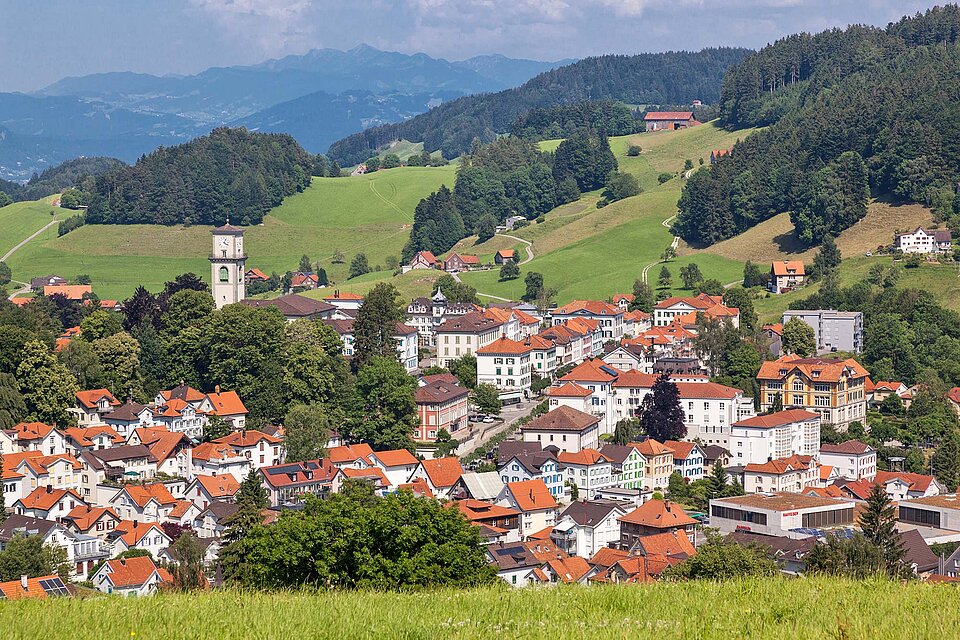 Blick über Heiden