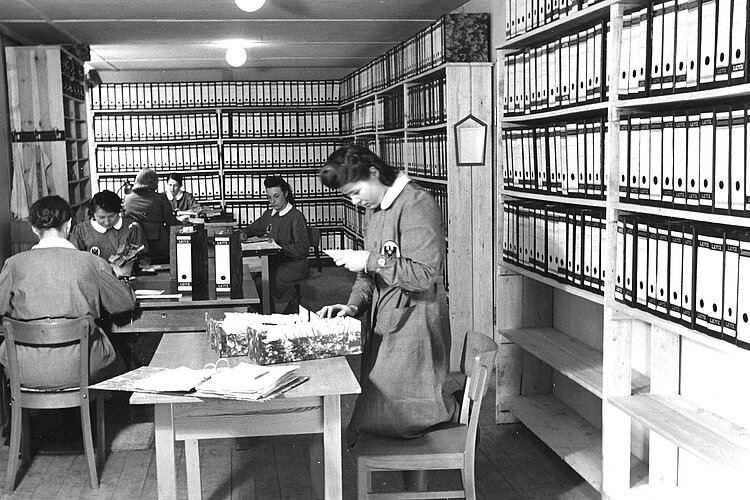 DRK-Mitarbeiterinnen arbeiten vor gefüllten Regalen