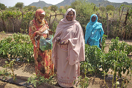 Sudanesinnen auf einem Feld