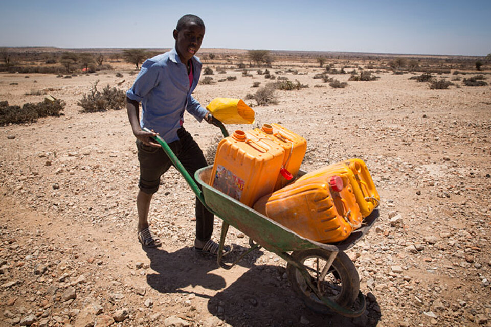 Ein somalischer Junge transportiert Wasserkanister mit einer Schubkarre in der Wüste