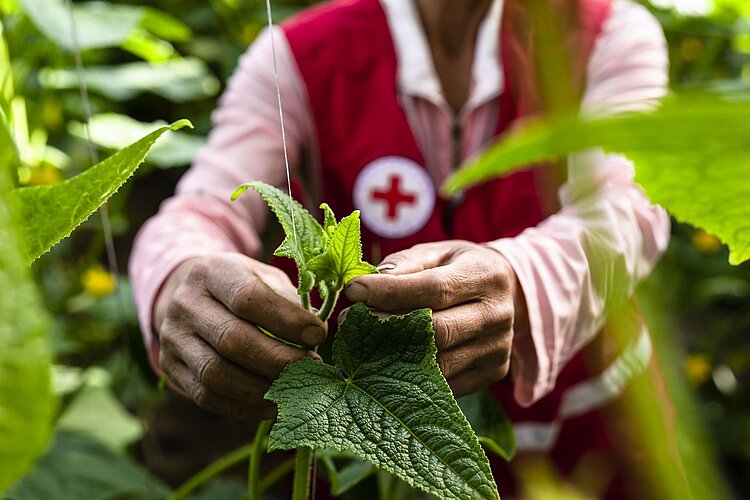 Nachhaltigkeit im DRK