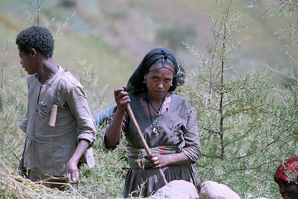 Äthiopische Menschen bei Feldarbeit