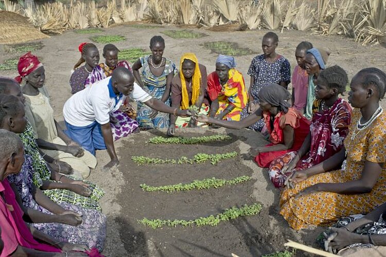 Südsudan: Projekte zur Ernährungssicherung