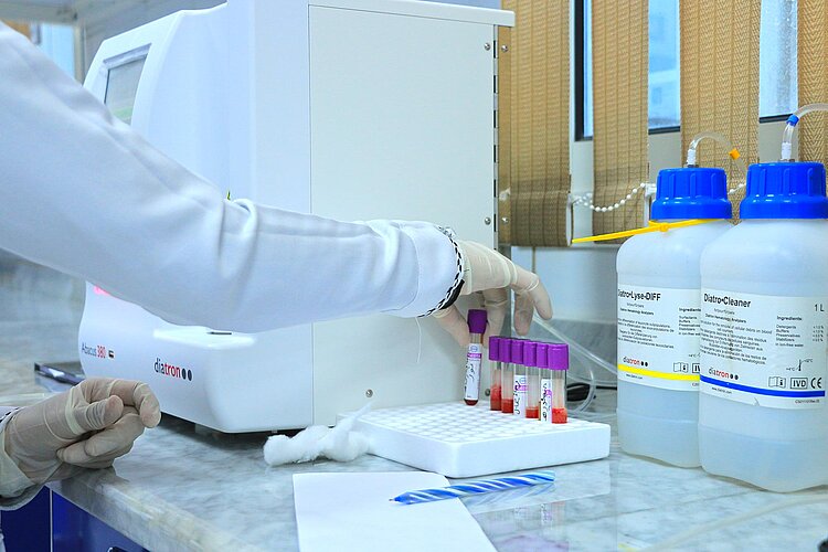 Weibliche Fachkraft mit Blutproben im Labor