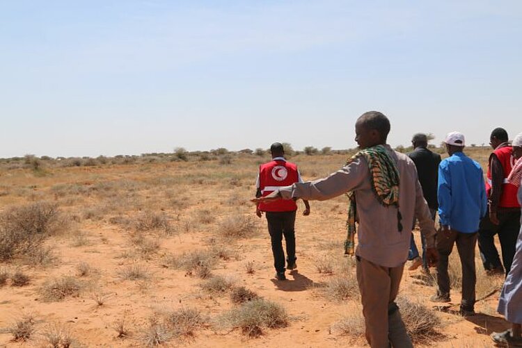 Somalia: Heuschreckenplage verschärft Ernährungssituation