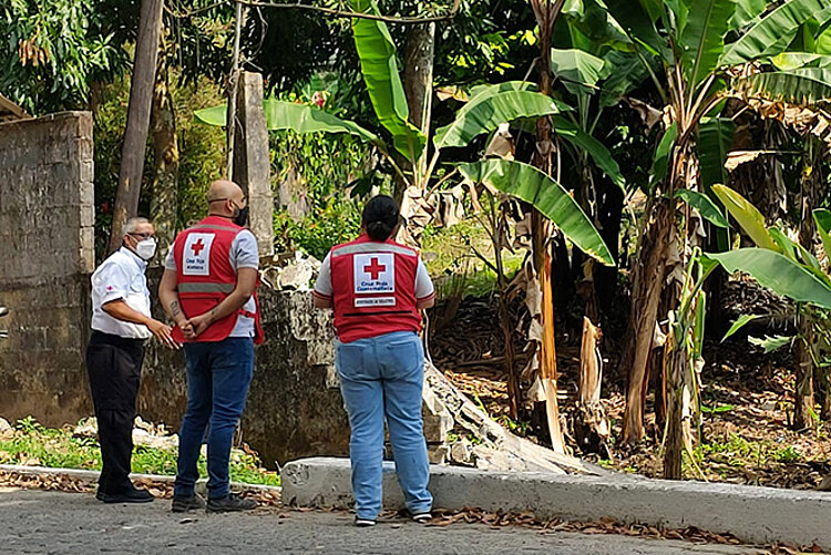 Feldbesuch für Hilfsprojekt: Drei Menschen schauen sich einen Ort mit Palmen an.