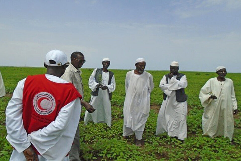 Foto: Sudanesische Bauern auf einem Feld einer Feldschule