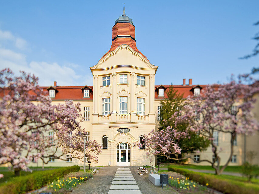 Bäume vor DRK-Generalsekretariat in Frühlingsblüte