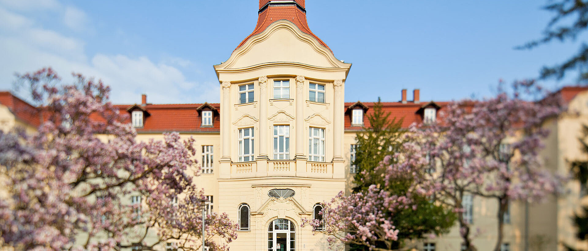 Bäume vor DRK-Generalsekretariat in Frühlingsblüte