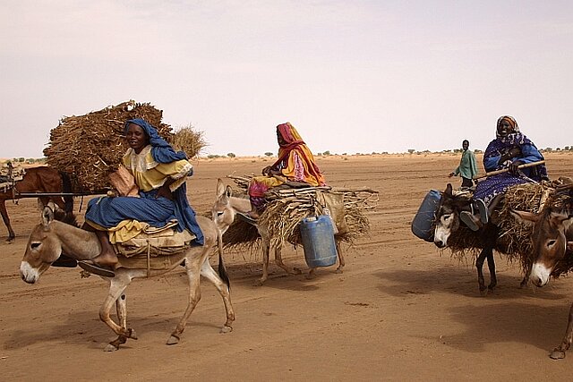 Vor Krieg und Armut Geflüchtete in Afrika: Frauen transportieren Wasser und Feuerholz mit Eseln