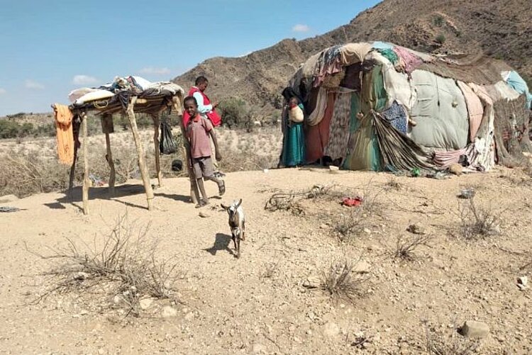 Bargeldhilfe in Somaliland