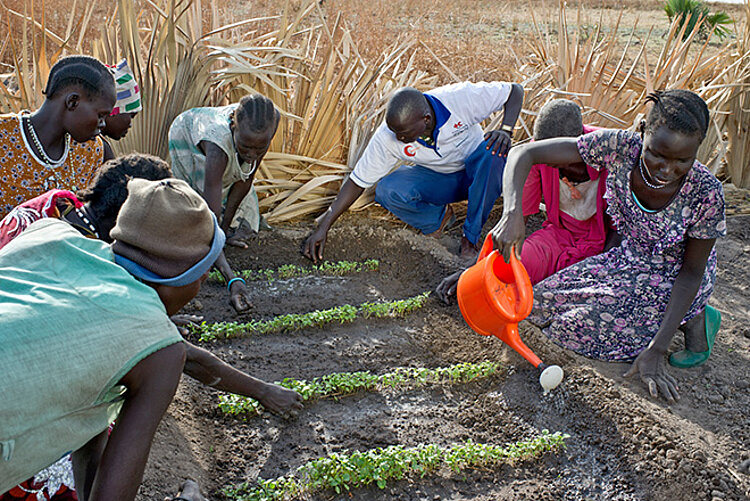 group of people working in a garden