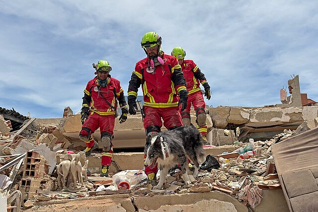 Rotkreuzler und Rettungshund auf Trümmern