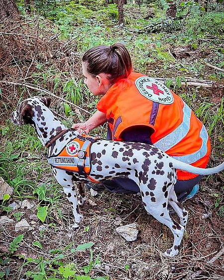 DRKlerin mit Dalmatiner im Wald