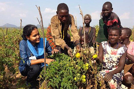 Foto: DRK-Mitarbeiterin und ugandische Dorfbewohner um eine Tomatenpflanze