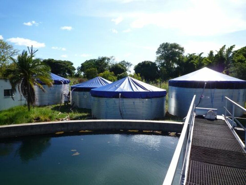 Foto: Mehrere Wassertanks. Bis auf einen sind alle mit Planen abgedeckt.