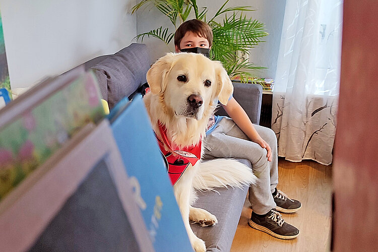 Therapiehund Milow mit einem Jungen