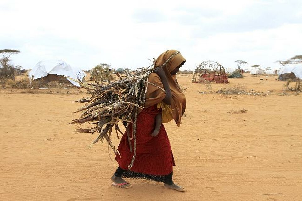 Eine somalische Frau trägt Feuerholz in das Flüchtlingslager "Dadaab". Über 360.000 Menschen befinden sich zur Zeit im Lager an der Grenze zwischen Somalia und Kenia. Dadaab gilt als größtes Flüchtlingslager der Welt und wurde ursprünglich fü