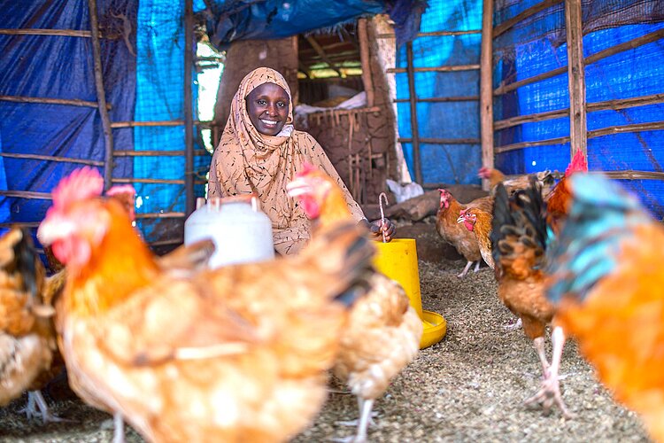 Frau versorgt Hühner