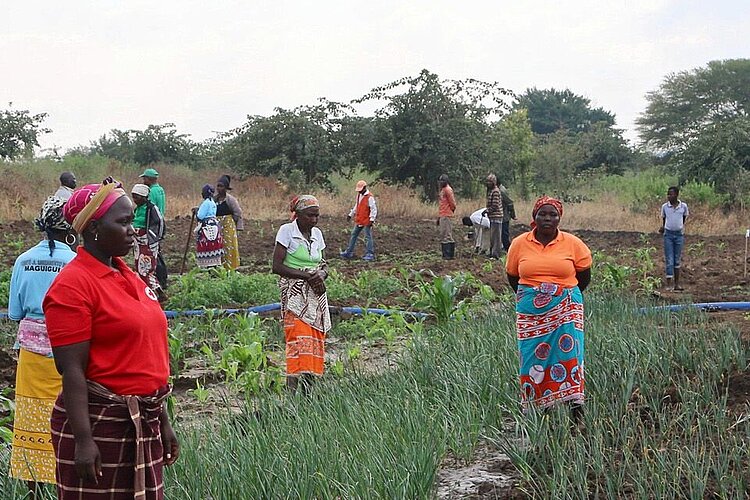 Klimawandel-Projekt: Mosambikanische Frauen auf einem Feld