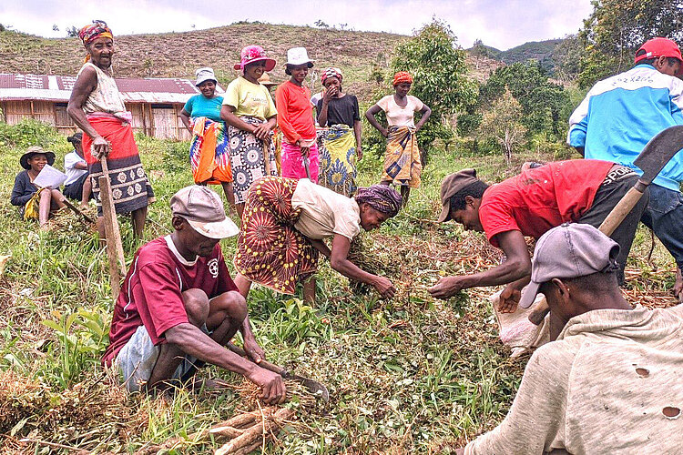 People working on a field