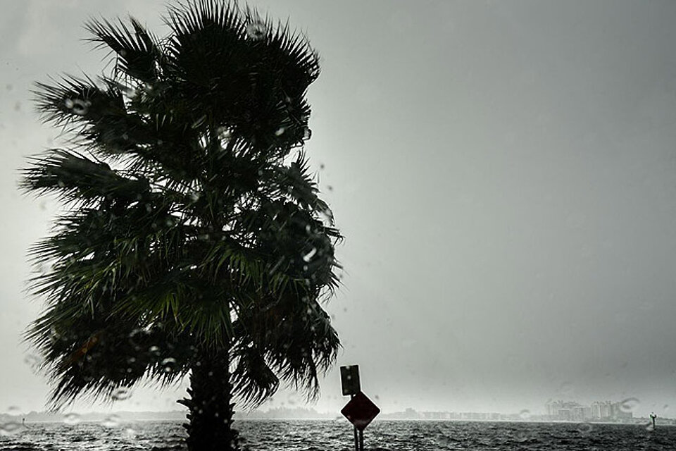 Heftiger Wind weht über Florida