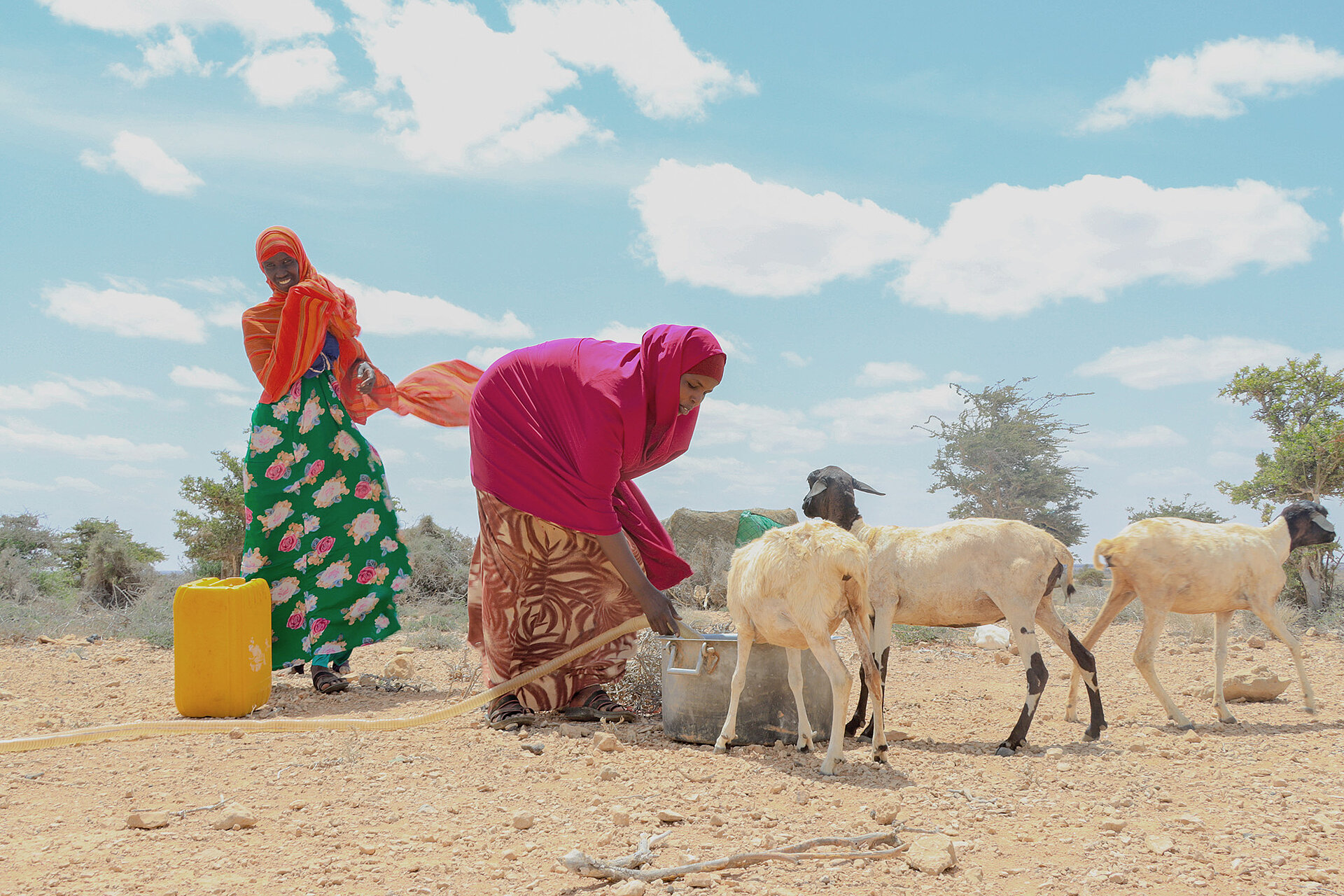 Wasser während der Dürre in Somalia 